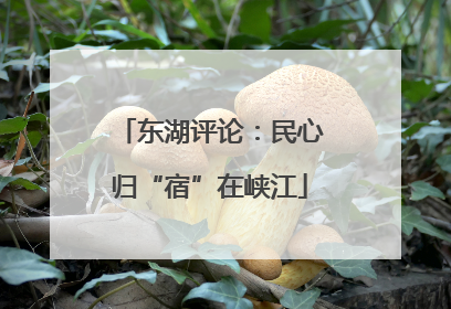 东湖评论：民心归“宿”在峡江