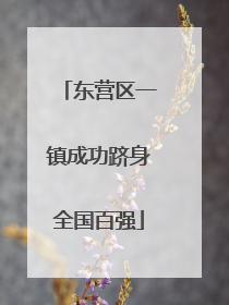东营区一镇成功跻身全国百强