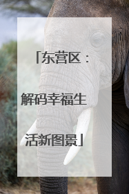 东营区：解码幸福生活新图景