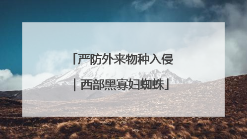 严防外来物种入侵｜西部黑寡妇蜘蛛