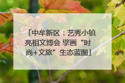 中牟新区：艺秀小镇亮相文博会 擘画“时尚+文旅”生态蓝图