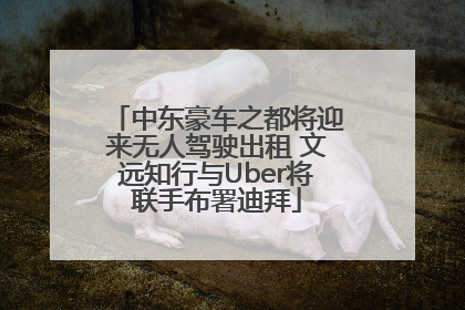 中东豪车之都将迎来无人驾驶出租 文远知行与Uber将联手布署迪拜