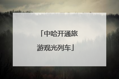 中哈开通旅游观光列车