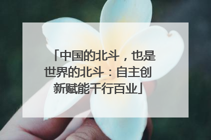 中国的北斗，也是世界的北斗：自主创新赋能千行百业