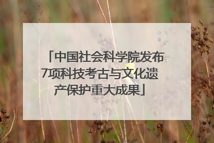 中国社会科学院发布7项科技考古与文化遗产保护重大成果