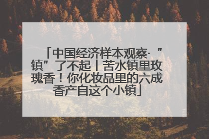 中国经济样本观察·“镇”了不起丨苦水镇里玫瑰香！你化妆品里的六成香产自这个小镇
