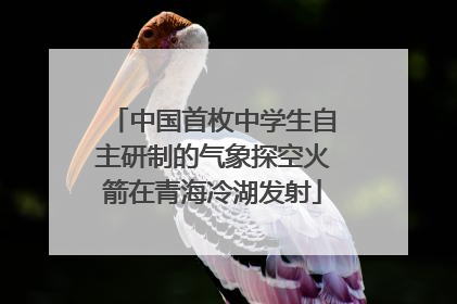中国首枚中学生自主研制的气象探空火箭在青海冷湖发射