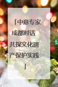 中意专家成都对话 共探文化遗产保护实践