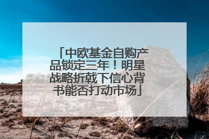 中欧基金自购产品锁定三年！明星战略折戟下信心背书能否打动市场