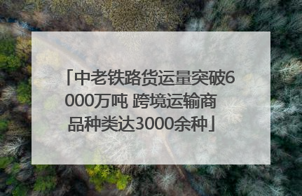 中老铁路货运量突破6000万吨 跨境运输商品种类达3000余种