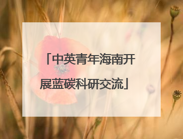 中英青年海南开展蓝碳科研交流