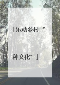 乐动乡村“种文化”
