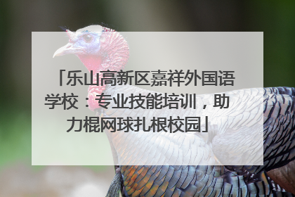 乐山高新区嘉祥外国语学校：专业技能培训，助力棍网球扎根校园