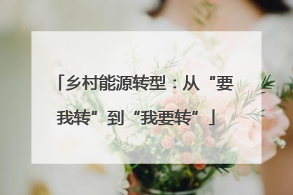 乡村能源转型：从“要我转”到“我要转”