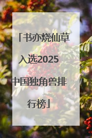 书亦烧仙草入选2025中国独角兽排行榜