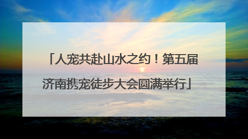 人宠共赴山水之约！第五届济南携宠徒步大会圆满举行