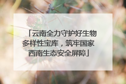 云南全力守护好生物多样性宝库，筑牢国家西南生态安全屏障