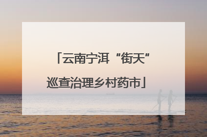 云南宁洱“街天”巡查治理乡村药市