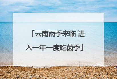 云南雨季来临 进入一年一度吃菌季