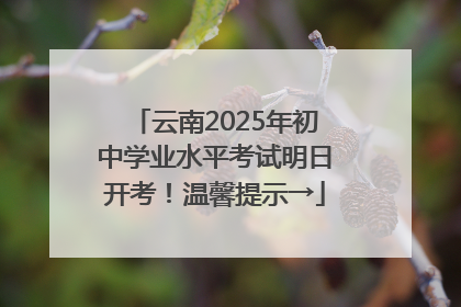 云南2025年初中学业水平考试明日开考！温馨提示→