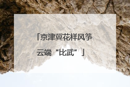 京津冀花样风筝云端“比武”