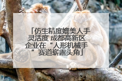 仿生精度媲美人手灵活度 成都高新区企业在“人形机械手”赛道崭露头角