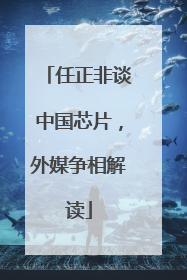任正非谈中国芯片，外媒争相解读