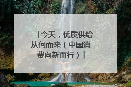今天，优质供给从何而来（中国消费向新而行）