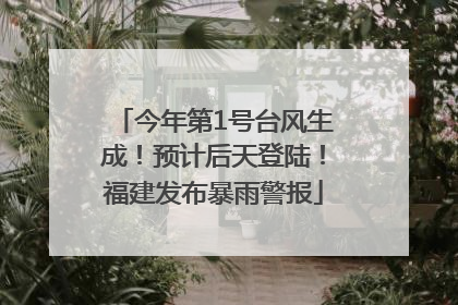 今年第1号台风生成！预计后天登陆！福建发布暴雨警报