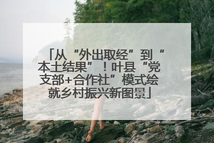 从“外出取经”到“本土结果”！叶县“党支部+合作社”模式绘就乡村振兴新图景