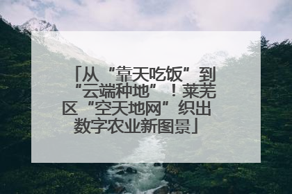 从“靠天吃饭”到“云端种地”！莱芜区“空天地网”织出数字农业新图景