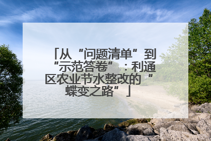 从“问题清单”到“示范答卷”：利通区农业节水整改的“蝶变之路”