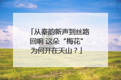 从秦韵新声到丝路回响 这朵“梅花”为何开在天山？