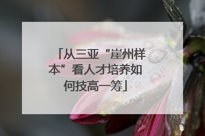 从三亚“崖州样本”看人才培养如何技高一筹