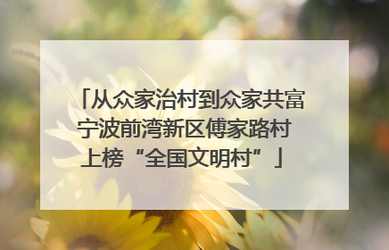 从众家治村到众家共富 宁波前湾新区傅家路村上榜“全国文明村”