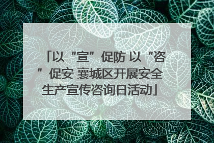 以“宣”促防 以“咨”促安 襄城区开展安全生产宣传咨询日活动