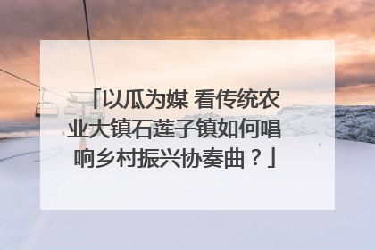 以瓜为媒 看传统农业大镇石莲子镇如何唱响乡村振兴协奏曲？