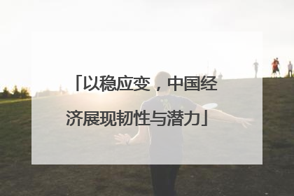 以稳应变，中国经济展现韧性与潜力