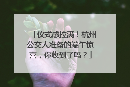 仪式感拉满！杭州公交人准备的端午惊喜，你收到了吗？