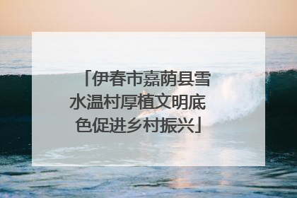 伊春市嘉荫县雪水温村厚植文明底色促进乡村振兴