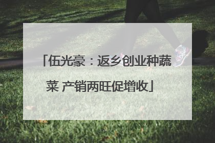 伍光豪：返乡创业种蔬菜 产销两旺促增收