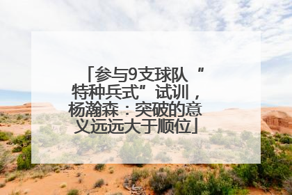 参与9支球队“特种兵式”试训，杨瀚森：突破的意义远远大于顺位