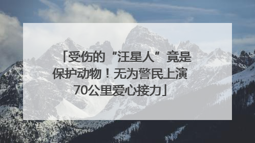 受伤的“汪星人”竟是保护动物！无为警民上演70公里爱心接力