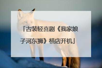 古装轻喜剧《我家娘子河东狮》横店开机