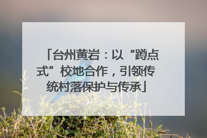 台州黄岩：以“蹲点式”校地合作，引领传统村落保护与传承