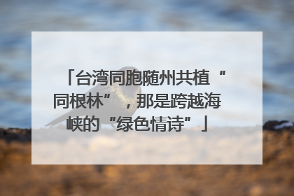 台湾同胞随州共植“同根林”，那是跨越海峡的“绿色情诗”