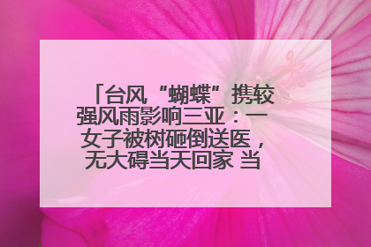 台风“蝴蝶”携较强风雨影响三亚：一女子被树砸倒送医，无大碍当天回家 当地已紧急清障