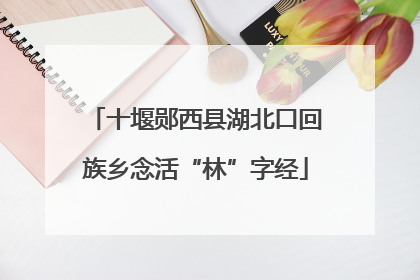 十堰郧西县湖北口回族乡念活“林”字经