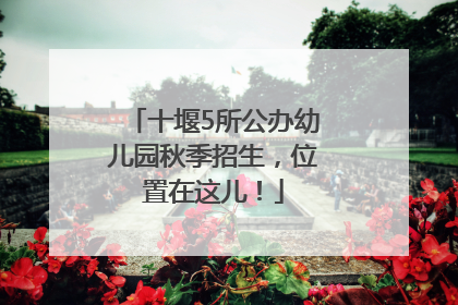 十堰5所公办幼儿园秋季招生，位置在这儿！