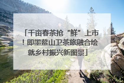 千亩春茶抢“鲜”上市！即墨鳌山卫茶旅融合绘就乡村振兴新图景